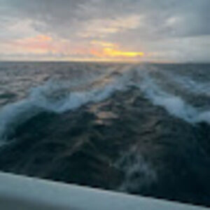 Meet your Posher, Catherine